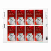 DIE KÖNIGIN DER WEISSEN KATZEN, RUBY (Vorne)