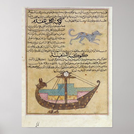 Die Konstellationen des Hundes und des Keels Poster (Vorne)