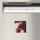 Die Kopplung eines Turban 2010 Magnet (In Situ (Geschirrspüler))