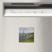 Die Kornküste Magnet (In Situ (Geschirrspüler))
