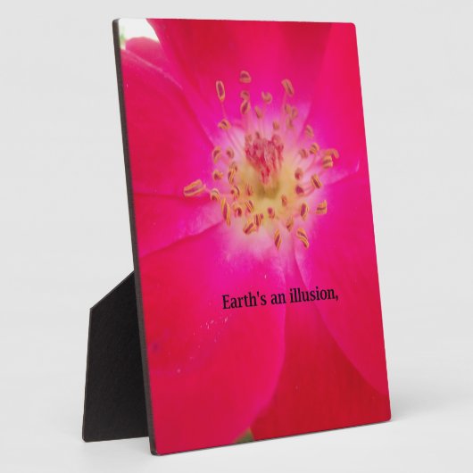 Die kosmische Rose: Das Täuschungsdesign der Natur Fotoplatte (Seite)