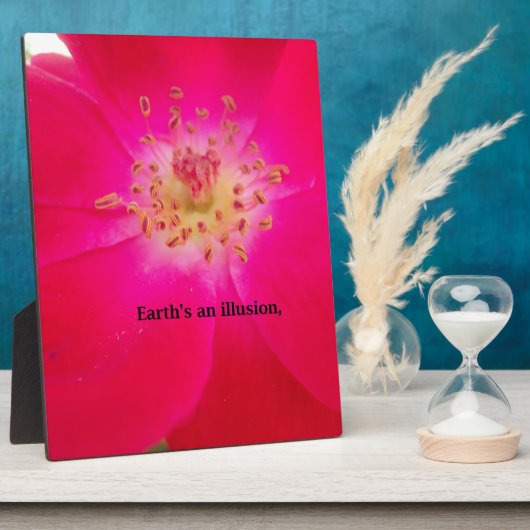 Die kosmische Rose: Das Täuschungsdesign der Natur Fotoplatte (Seite)