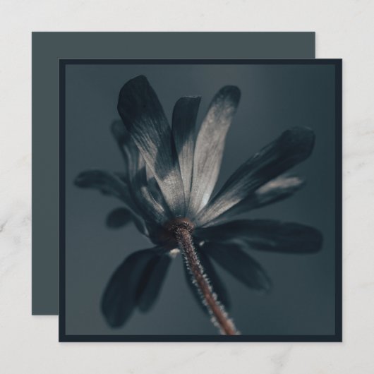 Die köstlich dunkle Blume Karte (Vorne/Hinten)