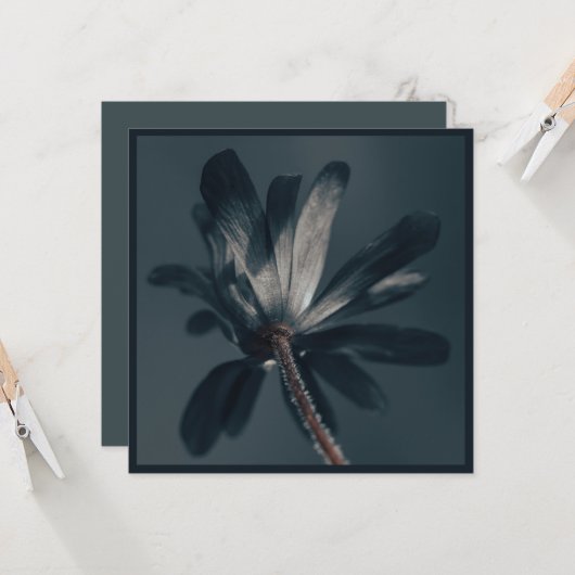 Die köstlich dunkle Blume Karte (Vorderseite/Rückseite Beispiel)