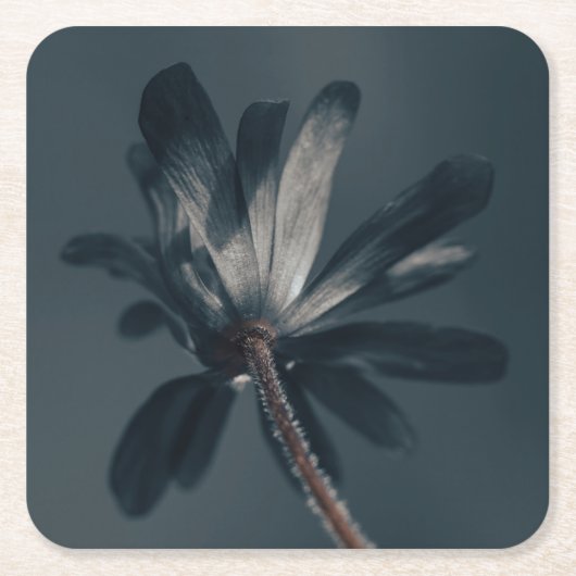 Die köstlich dunkle Blume Rechteckiger Pappuntersetzer (Vorderseite)