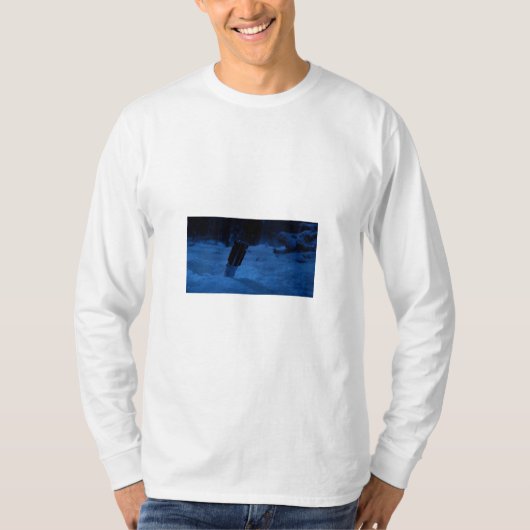 Die Kraft erwacht - Longsleeve T-Shirt (Vorderseite)