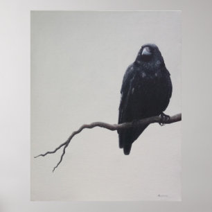 Die Krähe Poster