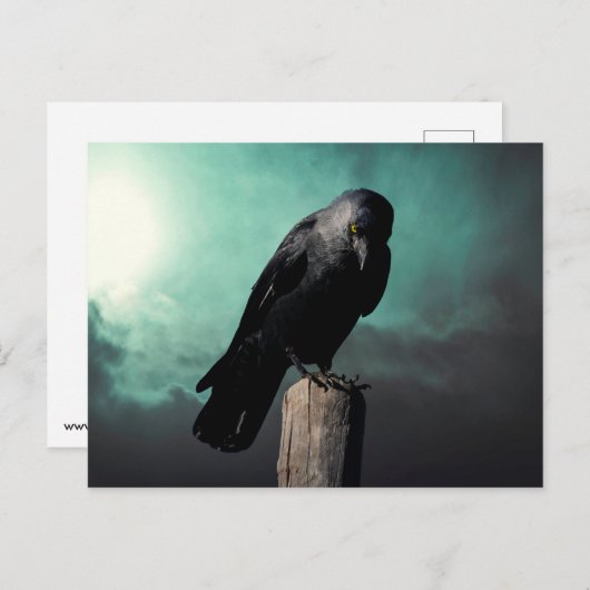 Die Krähe Postkarte (Vorne/Hinten)
