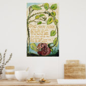 Die kranke Rose aus den Songs der Unschuldigkeit Poster (Küche)