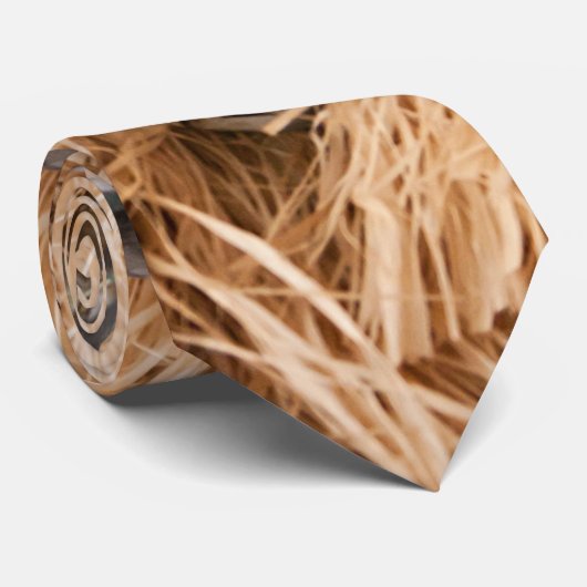 Die Krawatte der (Gerollt)