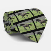 Die Krawatte der galoppierenden Colt-Männer (Gerollt)