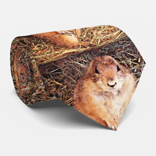 Die Krawatte der Gopher-Männer (Gerollt)