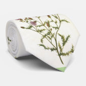 Die Krawatte der Männer, schottische Distel (Gerollt)