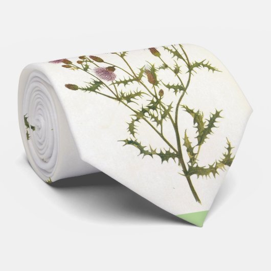 Die Krawatte der Männer, schottische Distel (Gerollt)