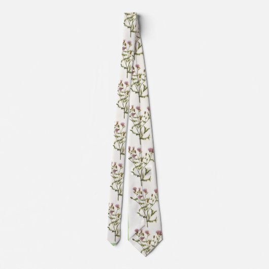 Die Krawatte der Männer, schottische Distel (Rückseite)