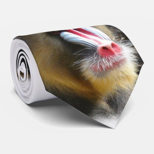 Die Krawatte der Pavian-Männer (Gerollt)