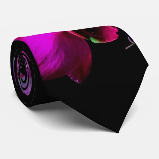 Die Krawatte der rosa (Gerollt)