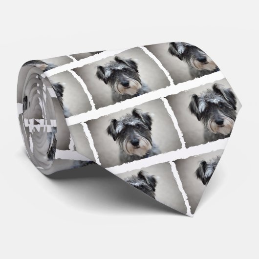 Die Krawatte der Schnauzer-Hundemänner (Gerollt)