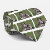 Die Krawatte der stillstehenden Zebra-Männer (Gerollt)