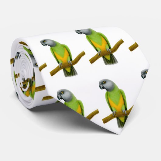 Die Krawatte des Senegal-Papagei (Gerollt)