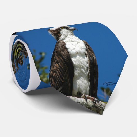 Die Krawatte Ospreyfalke Männer (Gerollt)