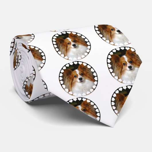 Die Krawatte Papillon Männer (Gerollt)