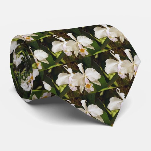 Die Krawatte weißer Cattleya trianae Männer (Gerollt)