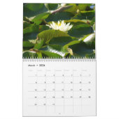 Die Kreationen des Gottes Kalender (Mär 2026)