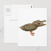 Die Krokodile mit Füßen Postkarte (Vorne/Hinten)