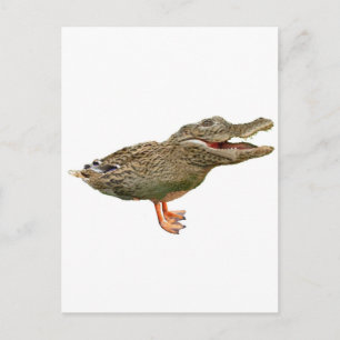 Die Krokodile mit Füßen Postkarte
