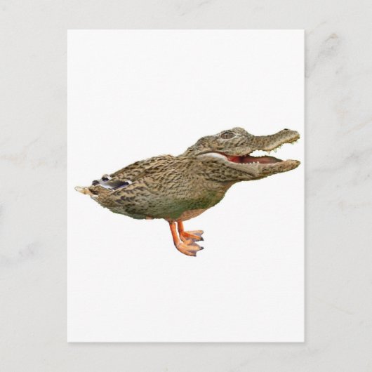Die Krokodile mit Füßen Postkarte (Vorderseite)