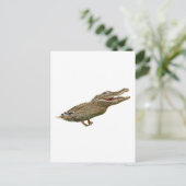 Die Krokodile Postkarte (Stehend Vorderseite)
