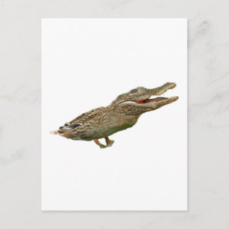 Die Krokodile Postkarte