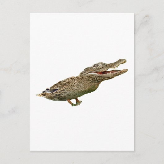 Die Krokodile Postkarte (Vorderseite)