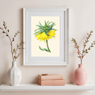 Die kronenimperiale, Vintage botanische Darstellun Poster