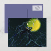 Die Kruge Postkarte (Vorne/Hinten)