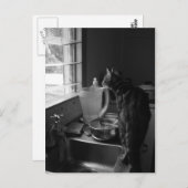 Die Küchen-Sink-Postkarten Postkarte (Vorne/Hinten)
