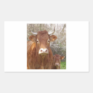 Die Kuh und ihr Kalb Rechteckiger Aufkleber