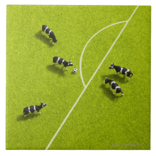 Die Kühe, die Fußball spielen Fliese