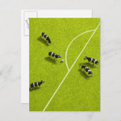 Die Kühe, die Fußball spielen Postkarte (Vorne/Hinten)