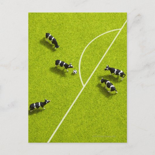 Die Kühe, die Fußball spielen Postkarte (Vorderseite)