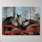 Die Kulisse Poster (Vorne)