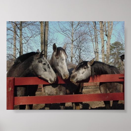 Die Kulisse Poster (Vorne)