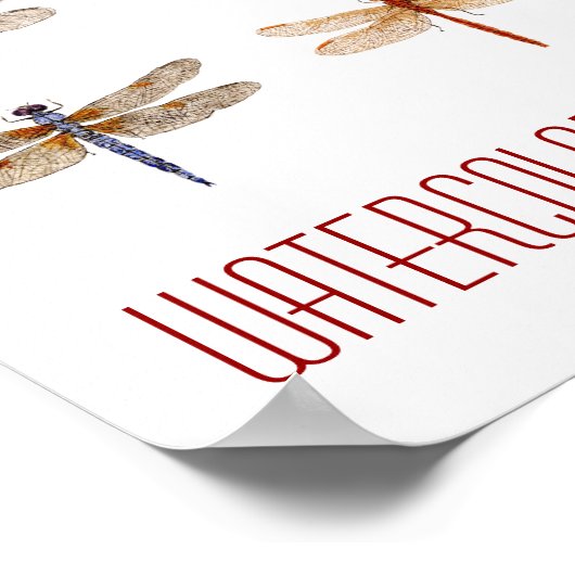 Die Kunst der Libellen Poster (Ecke)