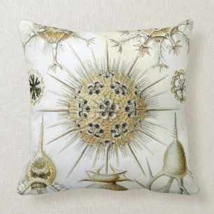 Die Kunst der Natur durch Ernst Haeckel Kissen
