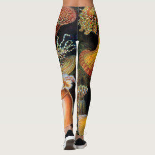 Die Kunst der Natur durch Ernst Haeckel Leggings
