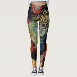 Die Kunst der Natur durch Ernst Haeckel Leggings