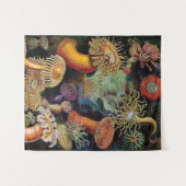 die Kunst der Natur durch Ernst Haeckel Wandteppich (Vorderseite (Horizontal))