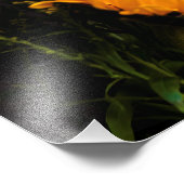 Die Kunst der Natur Fotodruck (Ecke)