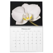 Die Kunst der Natur Kalender (Feb 2027)